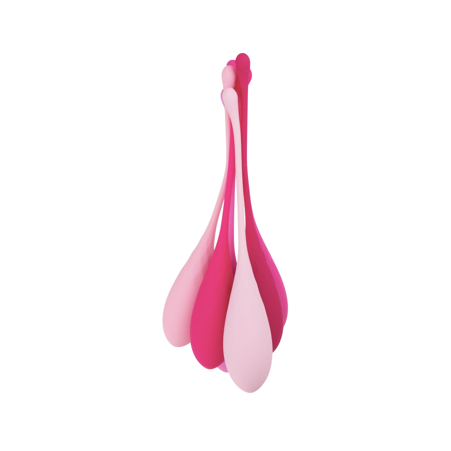 Kegel Weights Set for Pelvic Wellness - 6 pcs