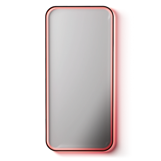 BodyGuardz Red Light Converter 9H Privacy Glass for iPhone
